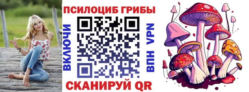 Галлюциногенные грибы мицелий  Купить закладки  Среднеуральск 
